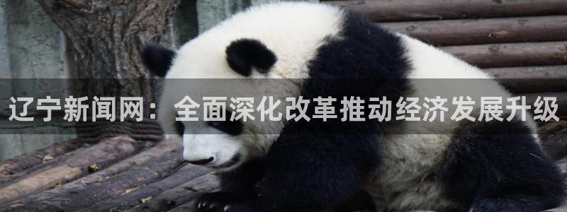 辽宁新闻网：全面深化改革推动经济发展升级