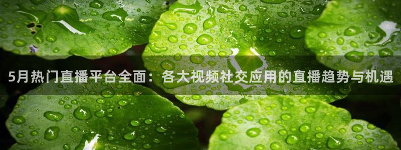 5月热门直播平台全面：各大视频社交应用的直播趋势与机遇