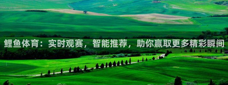 鲤鱼体育：实时观赛，智能推荐，助你赢取更多精彩瞬间