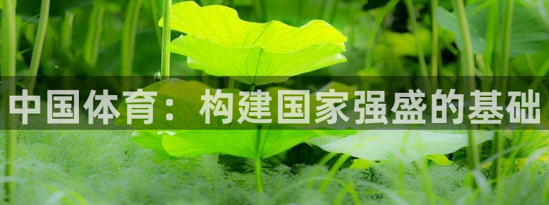 中国体育：构建国家强盛的基础
