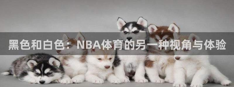 黑色和白色：NBA体育的另一种视角与体验