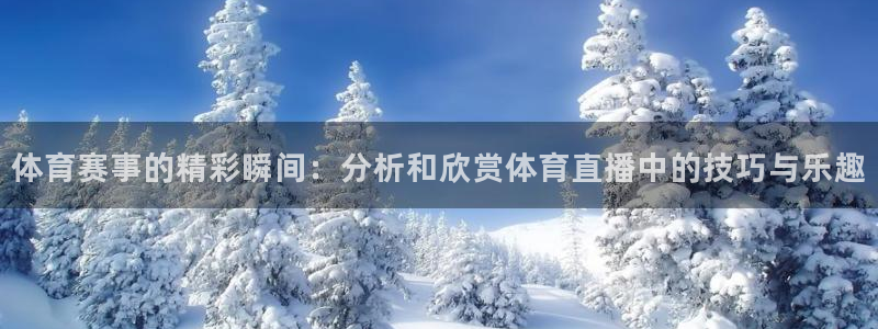 体育赛事的精彩瞬间：分析和欣赏体育直播中的技巧与乐趣