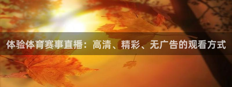 体验体育赛事直播：高清、精彩、无广告的观看方式