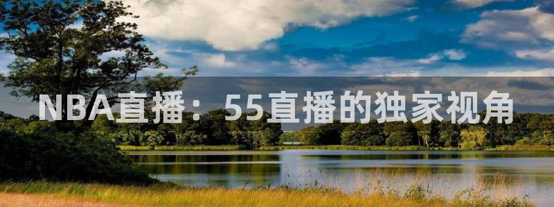 NBA直播：55直播的独家视角