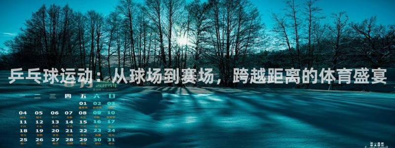 乒乓球运动：从球场到赛场，跨越距离的体育盛宴