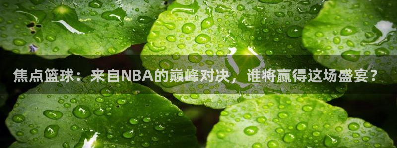 焦点篮球：来自NBA的巅峰对决，谁将赢得这场盛宴？