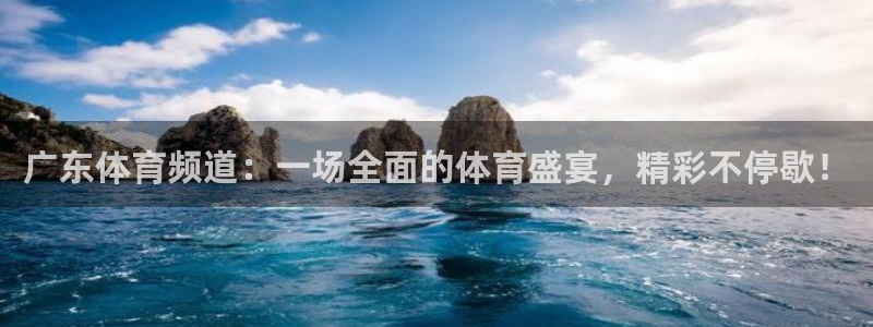 广东体育频道：一场全面的体育盛宴，精彩不停歇！