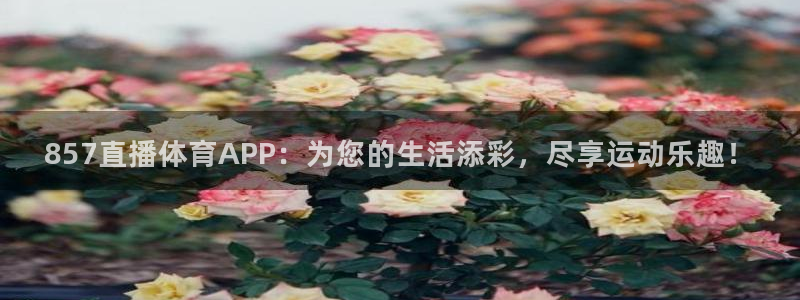 857直播体育APP：为您的生活添彩，尽享运动乐趣！