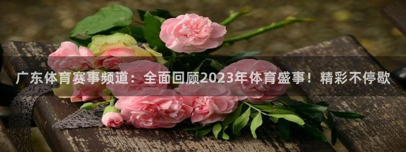 广东体育赛事频道：全面回顾2023年体育盛事！精彩不停歇