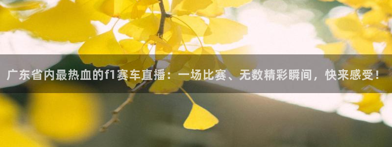 广东省内最热血的f1赛车直播：一场比赛、无数精彩瞬间，快来感受！