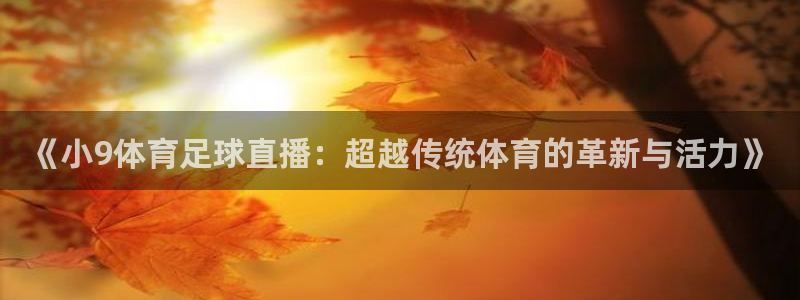 《小9体育足球直播：超越传统体育的革新与活力》