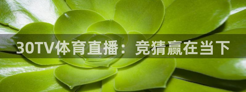 30TV体育直播：竞猜赢在当下
