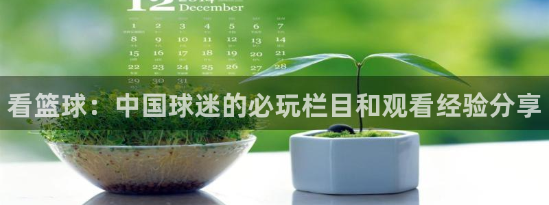 看篮球：中国球迷的必玩栏目和观看经验分享
