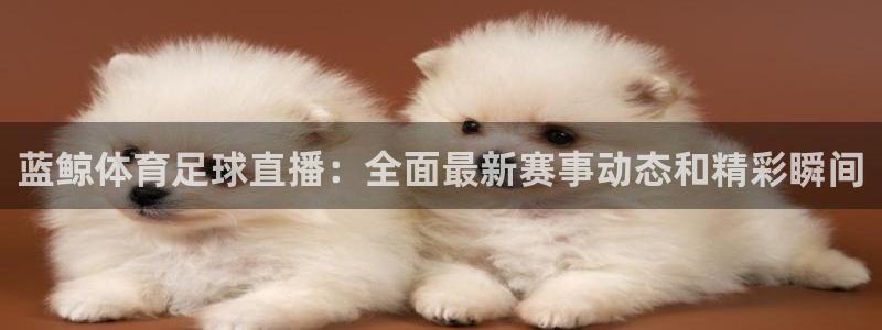蓝鲸体育足球直播：全面最新赛事动态和精彩瞬间