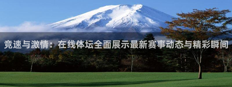 竞速与激情：在线体坛全面展示最新赛事动态与精彩瞬间