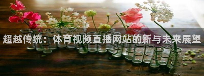 超越传统：体育视频直播网站的新与未来展望