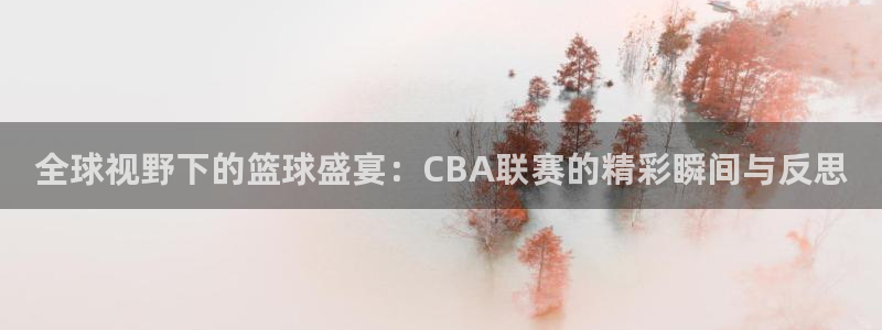 全球视野下的篮球盛宴：CBA联赛的精彩瞬间与反思