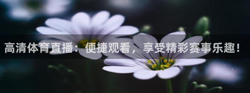 高清体育直播：便捷观看，享受精彩赛事乐趣！