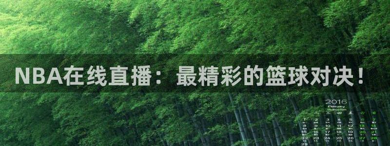 NBA在线直播：最精彩的篮球对决！