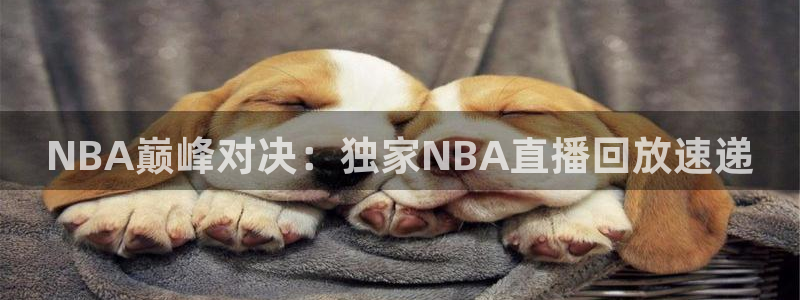 NBA巅峰对决：独家NBA直播回放速递