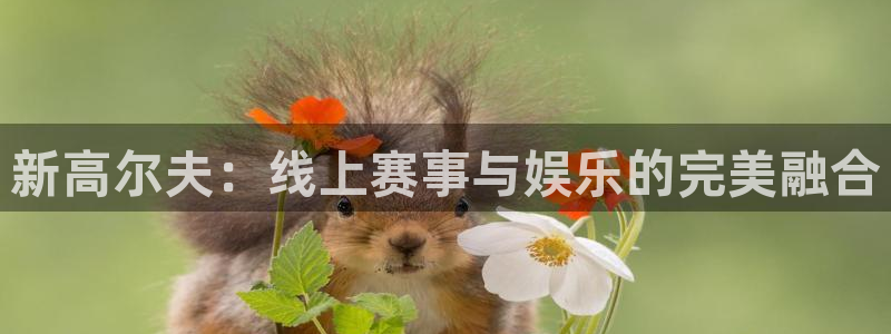 新高尔夫：线上赛事与娱乐的完美融合