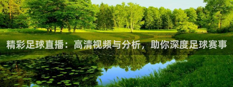 精彩足球直播：高清视频与分析，助你深度足球赛事