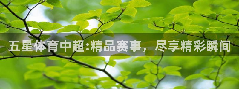五星体育中超:精品赛事，尽享精彩瞬间