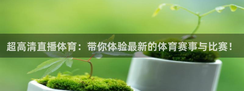 超高清直播体育：带你体验最新的体育赛事与比赛！