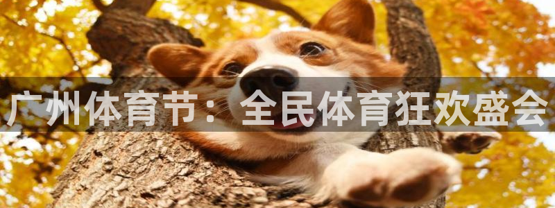 广州体育节：全民体育狂欢盛会