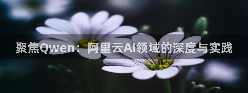 聚焦Qwen：阿里云AI领域的深度与实践