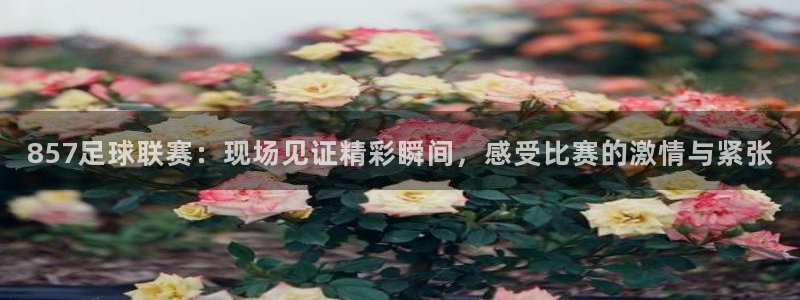 857足球联赛：现场见证精彩瞬间，感受比赛的激情与紧张