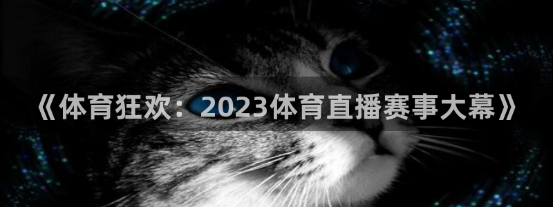 《体育狂欢：2023体育直播赛事大幕》