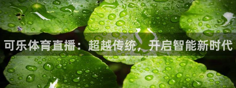 可乐体育直播：超越传统，开启智能新时代