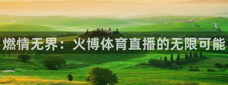 燃情无界：火博体育直播的无限可能