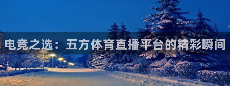 电竞之选：五方体育直播平台的精彩瞬间