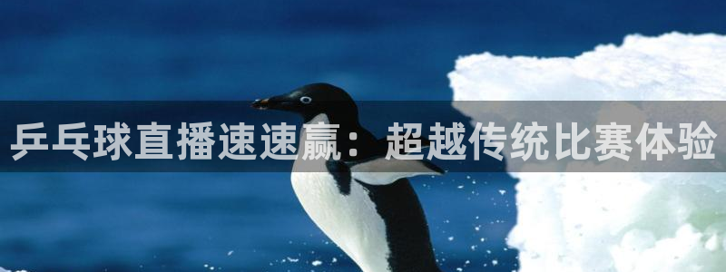 乒乓球直播速速赢：超越传统比赛体验