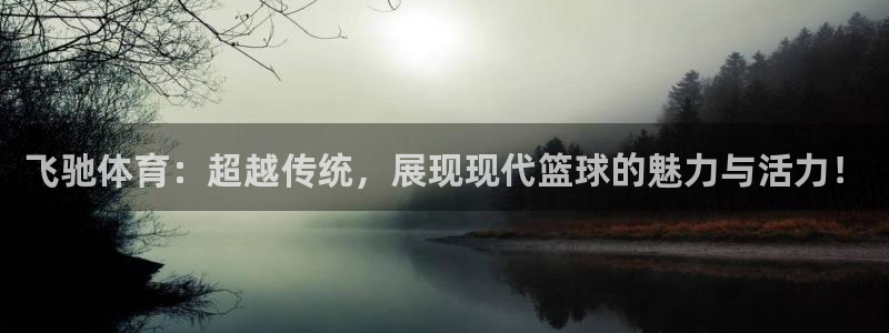 飞驰体育：超越传统，展现现代篮球的魅力与活力！