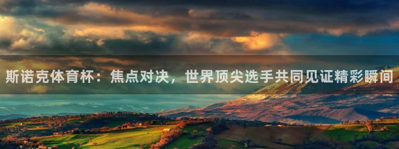 斯诺克体育杯：焦点对决，世界顶尖选手共同见证精彩瞬间