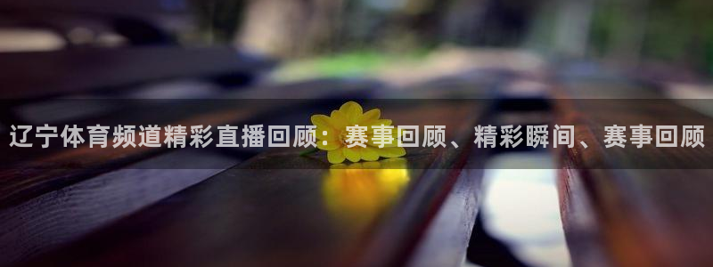 辽宁体育频道精彩直播回顾：赛事回顾、精彩瞬间、赛事回顾