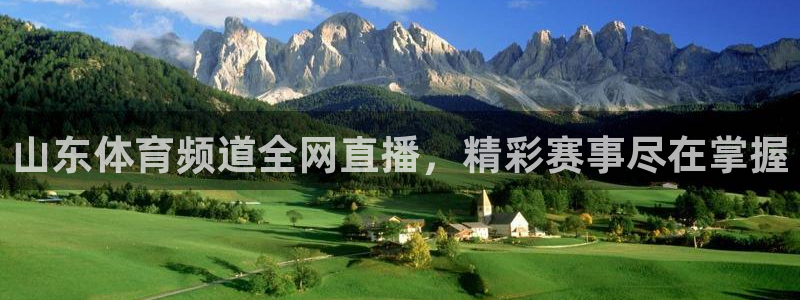 山东体育频道全网直播，精彩赛事尽在掌握