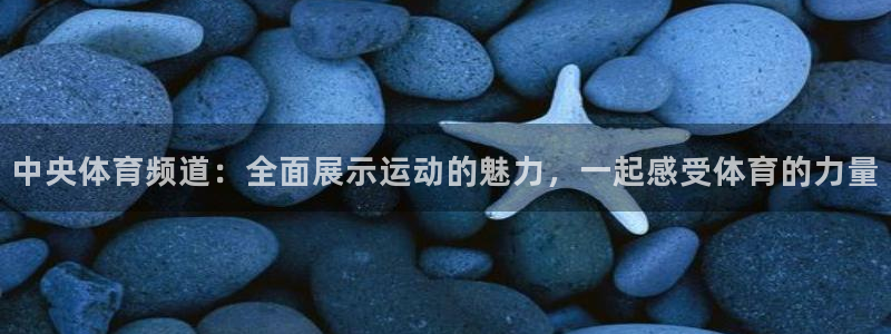 中央体育频道：全面展示运动的魅力，一起感受体育的力量