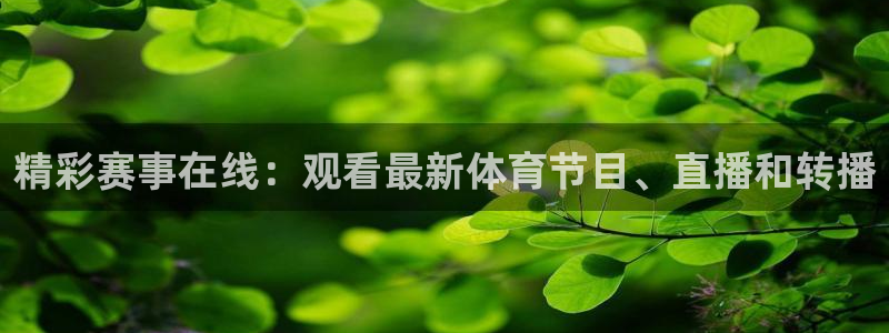精彩赛事在线：观看最新体育节目、直播和转播