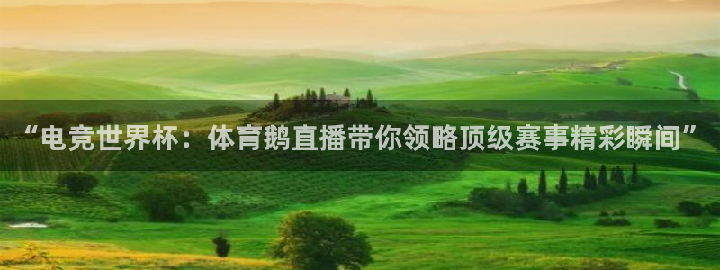 “电竞世界杯：体育鹅直播带你领略顶级赛事精彩瞬间”