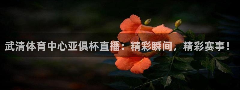 武清体育中心亚俱杯直播：精彩瞬间，精彩赛事！