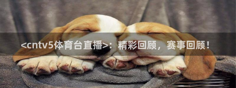 <cntv5体育台直播>：精彩回顾，赛事回顾！