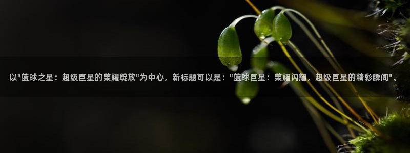 以\