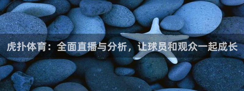 虎扑体育：全面直播与分析，让球员和观众一起成长