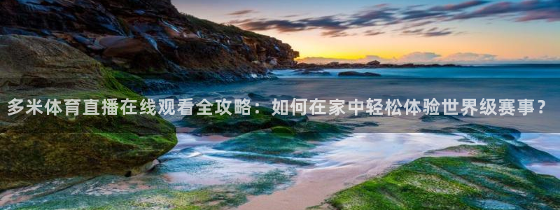 多米体育直播在线观看全攻略：如何在家中轻松体验世界级赛事？
