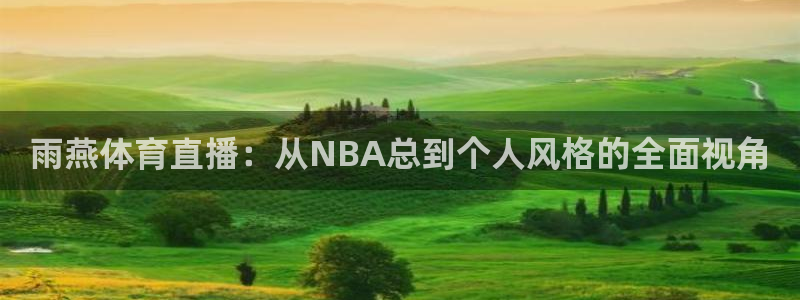 雨燕体育直播：从NBA总到个人风格的全面视角